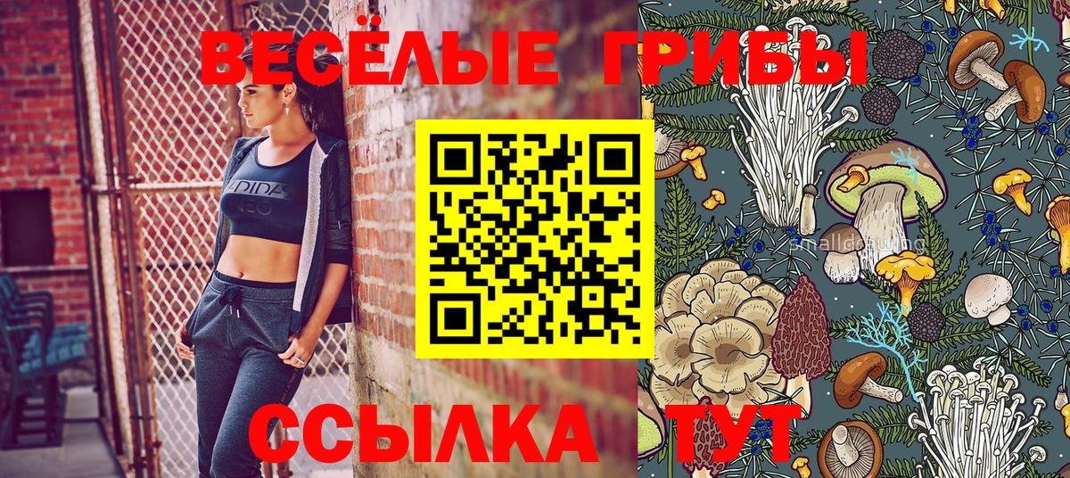 Галлюциногенные грибы ЛСД Тайшет